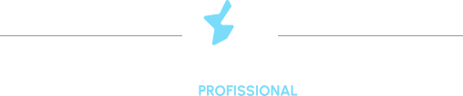 Vendizap profissional